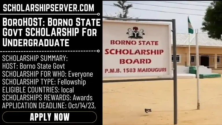 Borno State Scholarships