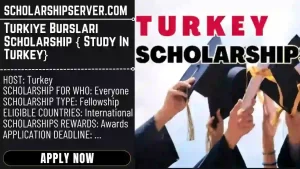 Turkiye Burslari Scholarship